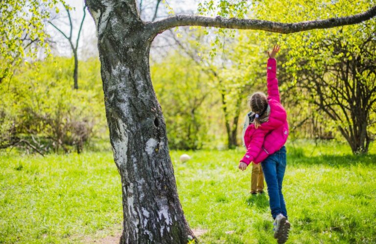 Le yoga est-il suffisant comme pratique physique unique ? – Partie 2